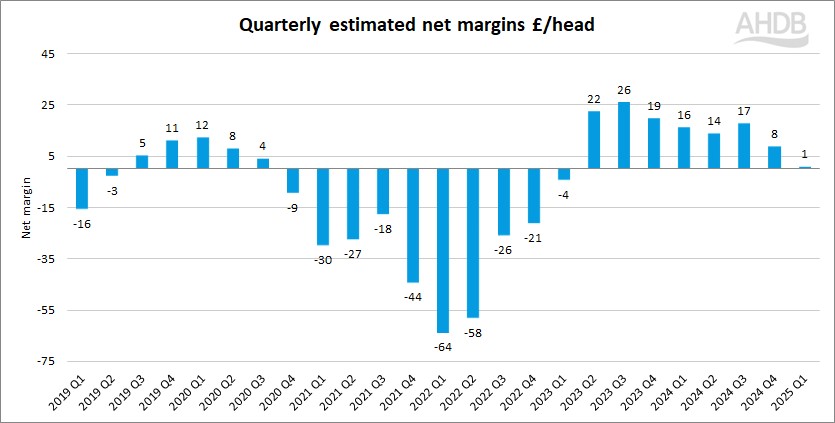 graph showing pork net margins
